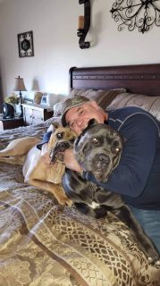 Cane Corso's with customer Bryan